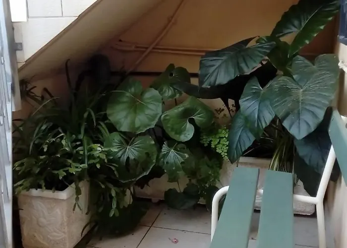 بيت للعطل Casa Dos Amigos 1 *